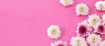 網站建設中的關鍵字該怎么選擇