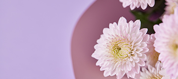 一個好的網站不是自己長出來的，是需要人為設計制作出來的