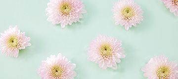 網絡商城網站開發有哪些流程？