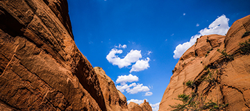 沈陽網站建設哪家公司好，做好seo建設一定要做到的三點內容！                 