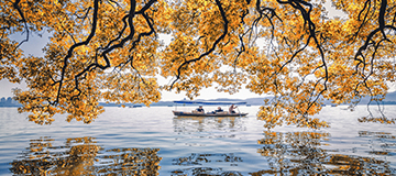 小小圖標在網站設計中的作用