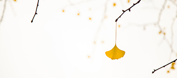 沈陽網站建設哪家服務好，網站定制開發的優點是什么？