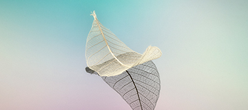 如何判斷沈陽高端網站建設公司是否專業(yè)呢？