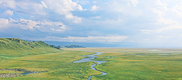 網站建設中內容更新有哪些方法