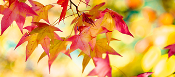 什么是高端網站建設，高端網站和普通網站的區別在哪里？