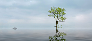 企業(yè)高端建站設(shè)計(jì)需要注意的關(guān)鍵點(diǎn)，高端建站如何做才會(huì)更好？