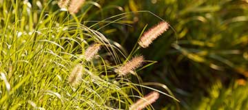 移動端網站建站注意事項