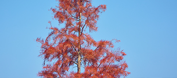 進(jìn)行網(wǎng)站設(shè)計(jì)時(shí)要怎樣進(jìn)行需求溝通?有哪些網(wǎng)站設(shè)計(jì)風(fēng)格流行?