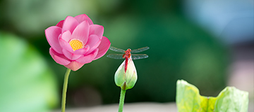 在沈陽網(wǎng)站建設(shè)中要考慮的幾類問題