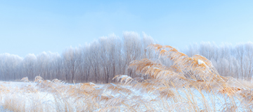 如何讓您的網(wǎng)站首頁(yè)更吸引人