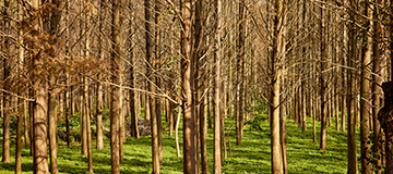 專業的網站建設團隊要具備什么樣的條件？