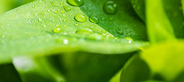 網(wǎng)站建設(shè)完成后哪些問(wèn)題不能忽視？