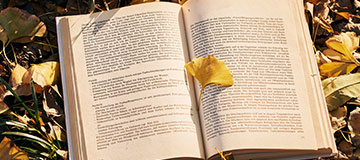 沈陽(yáng)網(wǎng)站制作需要了解的注意事項(xiàng)