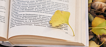 沈陽(yáng)網(wǎng)絡(luò)公司淺析網(wǎng)站運(yùn)營(yíng)的幾大步驟