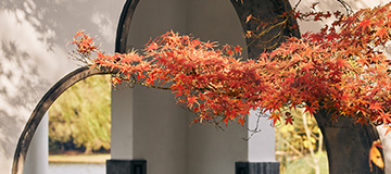 專(zhuān)業(yè)網(wǎng)頁(yè)制作公司設(shè)計(jì)流程，如何找一家專(zhuān)業(yè)網(wǎng)頁(yè)制作公司