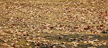 定制化網站建設有何意義，對于定制化網站建設的重點