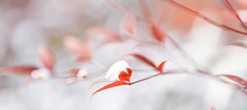 沈陽(yáng)網(wǎng)站制作中，手機(jī)端網(wǎng)站和PC端網(wǎng)站有什么區(qū)別？