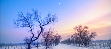 網站一般都需要進行哪些維護？