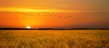 企業(yè)網(wǎng)站建設(shè)如何才能更加博人眼球