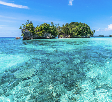 針對(duì)不同類(lèi)型用戶，網(wǎng)站設(shè)計(jì)如何應(yīng)對(duì)