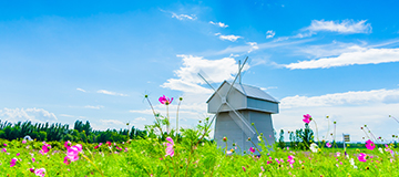 網(wǎng)站內(nèi)鏈應(yīng)該怎么放，他又有什么作用呢？