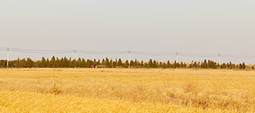 6個常見電子商務(wù)網(wǎng)站建設(shè)錯誤