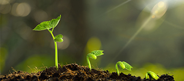 關(guān)于網(wǎng)站建設(shè)的類型大全