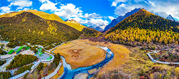 這幾點(diǎn)，就是促使企業(yè)網(wǎng)站建設(shè)的原因