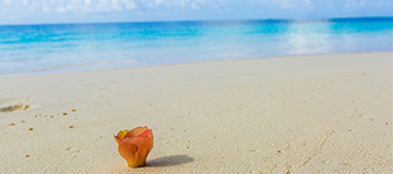 網(wǎng)站建設(shè)時(shí)，最容易犯的錯(cuò)誤總結(jié)